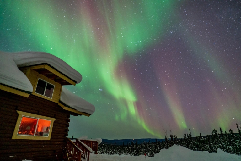 Fairbanks: Aurora Borealis Northern Lights Tour