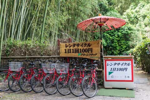 Arashiyama: Bamboo Grove and Temple Tour