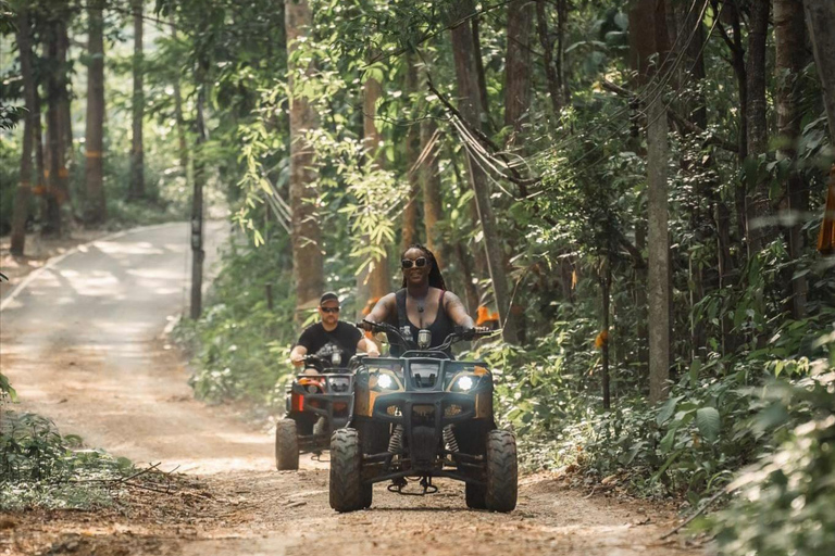 Chiang Mai: Elephant Sanctuary, Waterfall & Bamboo Rafting