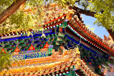 Beijing Imperial Academy & Confucian Temple Ticket