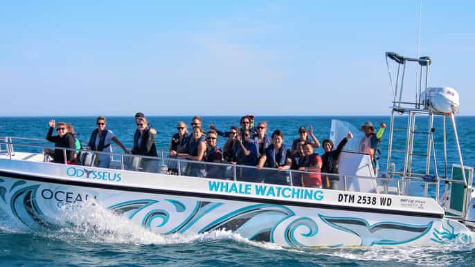knysna passeio de barco ecológico