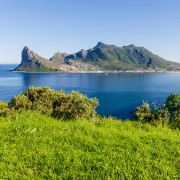 Cape Town: Guided Kayaking in Hout Bay