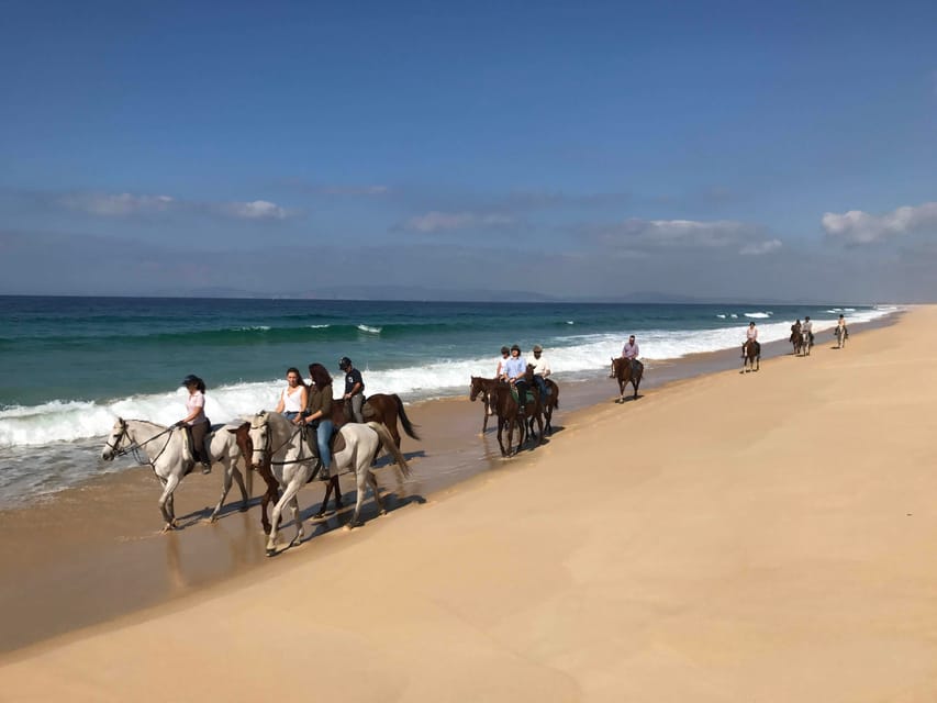 Passeggiata A Cavallo Sulla Spiaggia Con Trasferimento Privato Da