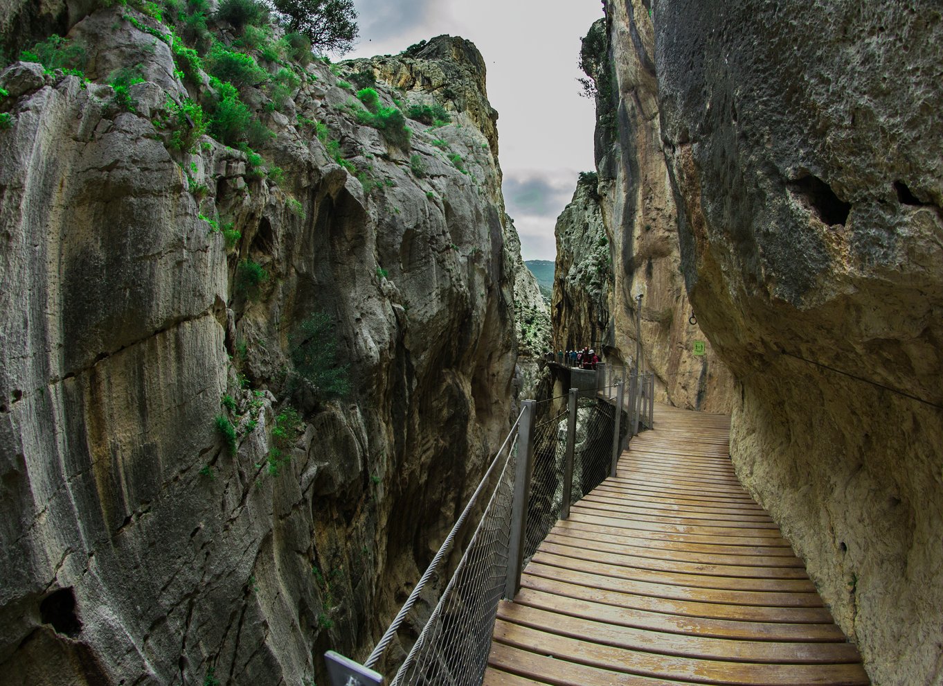 Málaga: Caminito del Rey guidet tur med transport