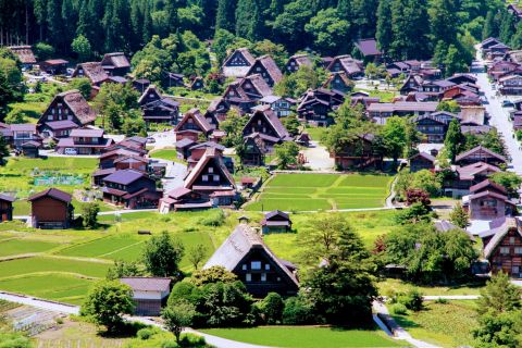 Kanazawa naar Shirakawago: halve dagtour