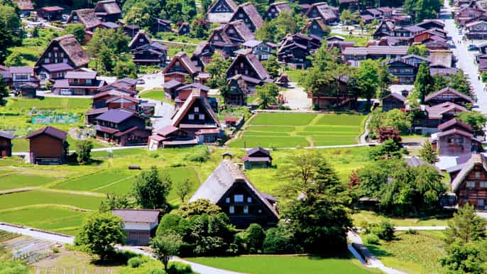 kanazawa a shirakawago tour de medio día