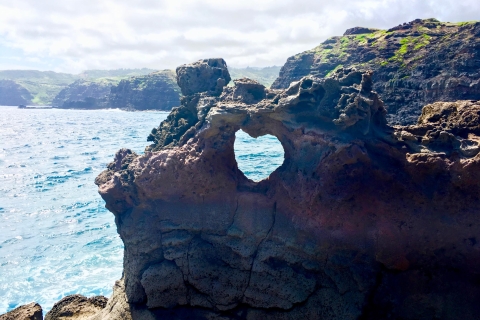 Maui: visite personnalisée de l'île privée de la vallée