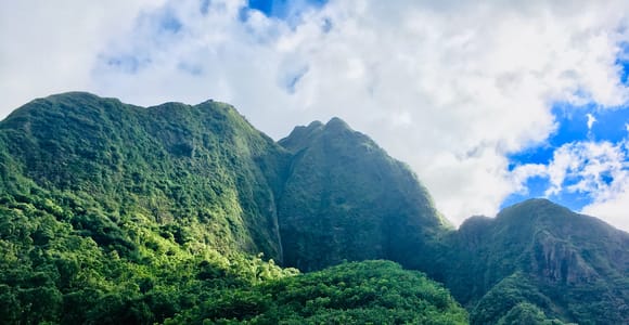 Maui: Private Valley Isle Customized Tour