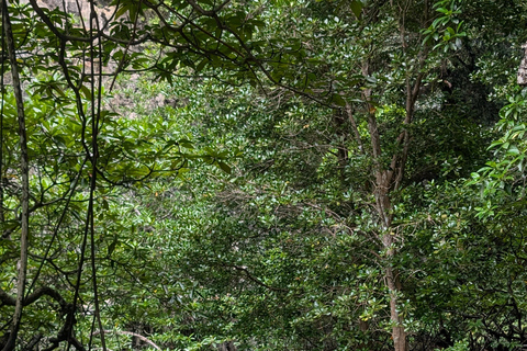 Krabi: Phi Phi Small Group Tour & Early Maya Bay with lunch