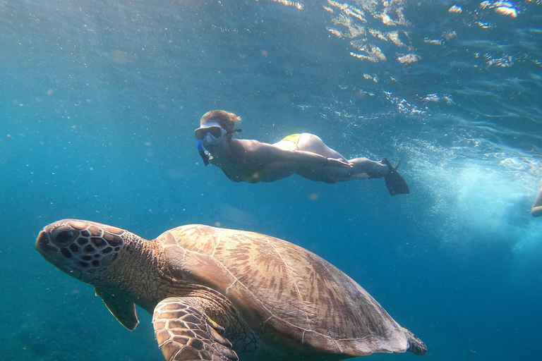 Gili Islands: Private Sunset Snorkeling for Couples Departure from Gili Islands