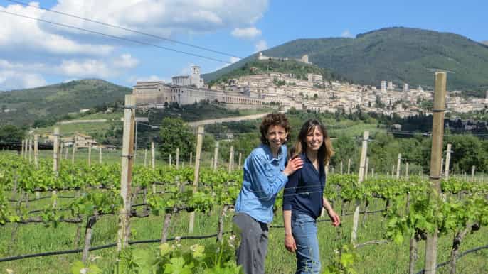 assisi wine tasting picnic