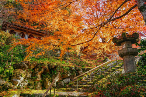 Kyoto: Private Guided Tour With Vehicle and Optional Add-Ons