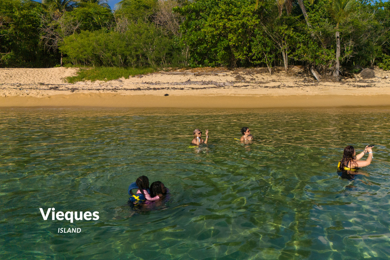 Fajardo: Vieques Island Snorkeling with Turtles Boat Tour