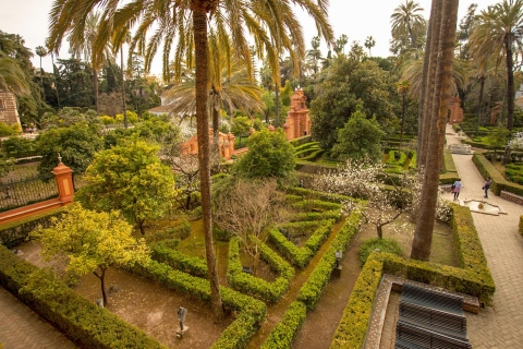 Alcázar de Séville : visite guidée avec billet coupe-fileVisite en anglais
