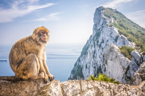Ab Costa del Sol: Ganztägige Gibraltar-ShoppingtourAb Fuengirola: Tour auf Englisch
