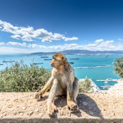 Gibilterra: tour di 1 giorno dalla Costa del Sol