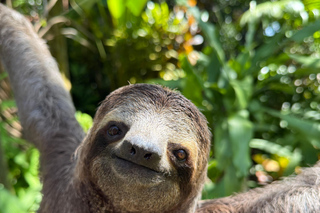 Day Trips and Tours from San José