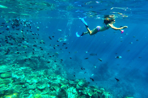 Private: Punta Cana to Catalina: Snorkeling, Beach & Buffet