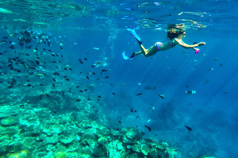 Private: Punta Cana to Catalina: Snorkeling, Beach & Buffet