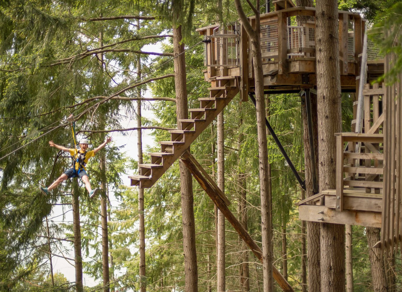 Queenstown: 3-timers zipline-eventyr med 6 liner