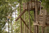 Queenstown, 3 heures Zipline Adventure avec 6 lignes - Hizvo