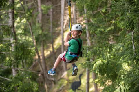 Queenstown: 2-Hour Zipline Tour with 4-Lines
