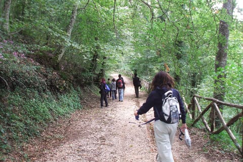 Faeto: Guided Forest Trek and Prosciutto Tasting