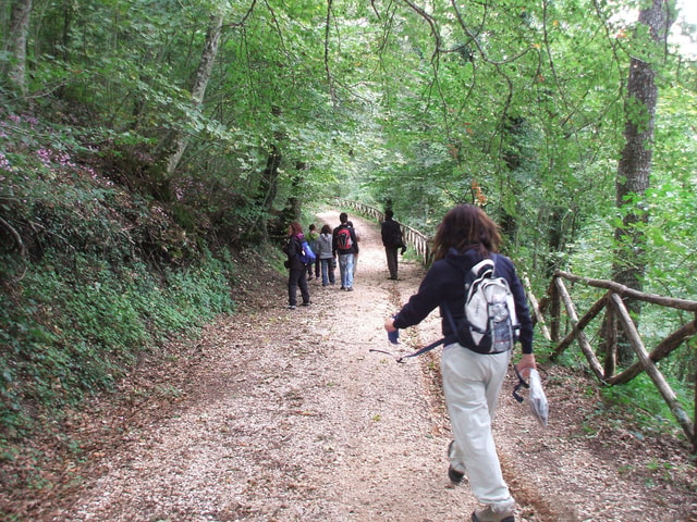 Visit Faeto Guided Forest Trek and Prosciutto Tasting in Tróia