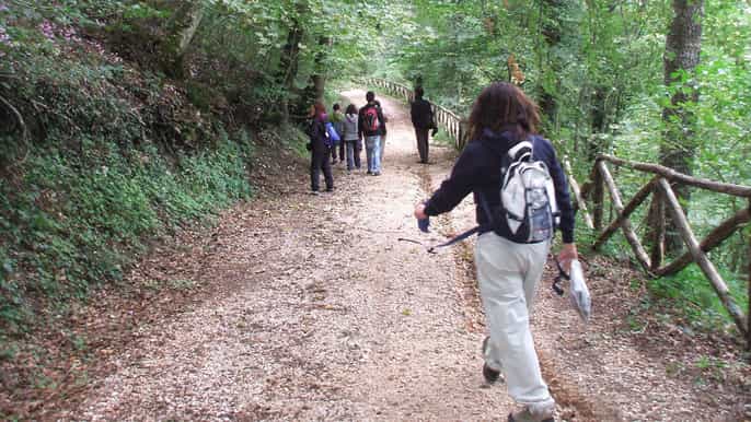 faeto guided forest trek and prosciutto tasting