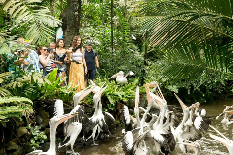 Bali Half Day: Bird Park & Ancient Temple