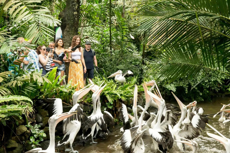 Bali Half Day: Bird Park & Ancient Temple