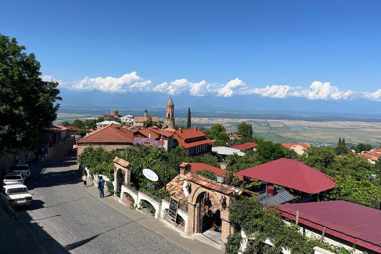 Authentic Kakheti Wine Tour: Tasting & Sighnaghi Wine Tunnel