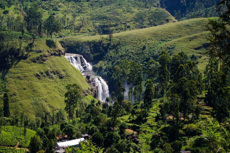 Sites du patrimoine du Sri Lanka : visite guidée privée de 6 jours