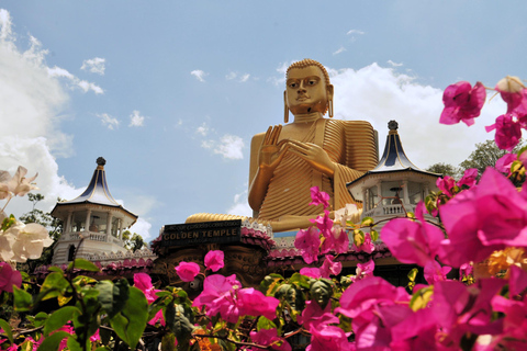 Sri Lankas Weltkulturerbestätten: 6-tägige private Tour