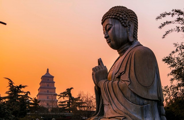 Visit Private Big Wild Goose Pagoda Buddhism Walking Tour in Xianyang