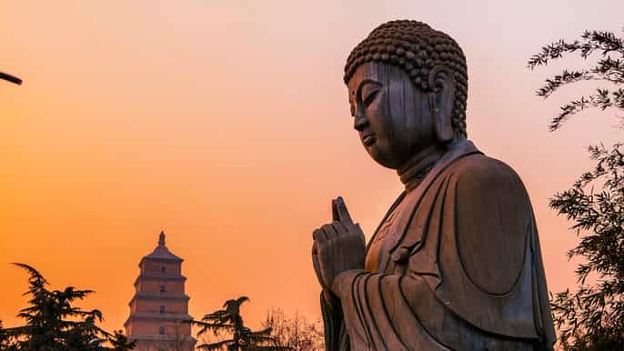 big wild goose pagoda small group buddhism walking tour