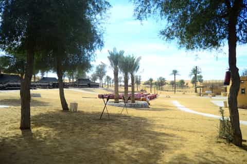Ras Al Khaimah: Afternoon Desert Safari and BBQ Dinner