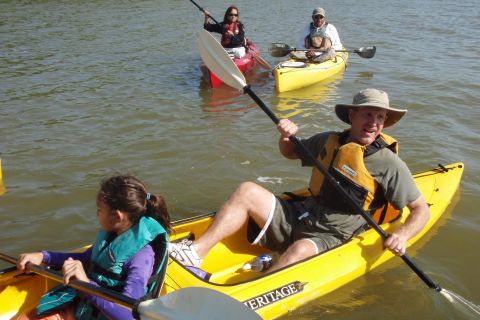Everglades National Park 3-Hour Kayak Eco Tour