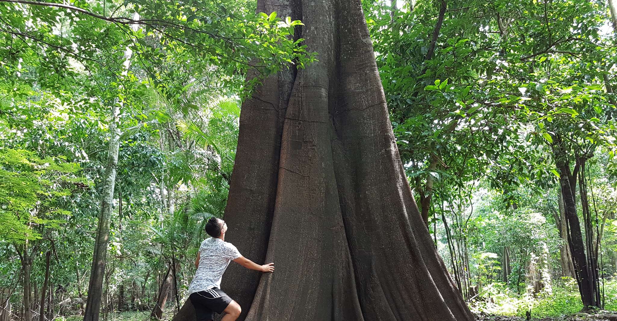 Amazon Jungle, tour de 3 o 4 días en Ipanema River Guest House - Hizvo