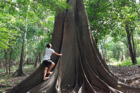 Selva amazónica: tour 3-4 días en Ipanema River Guest House
