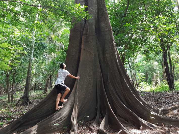 Floresta Amazônica: Excursão 3 ou 4 Dias Pousada Ipanema