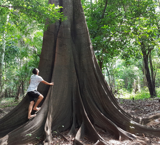 Excursiones de varios días desde Manaos