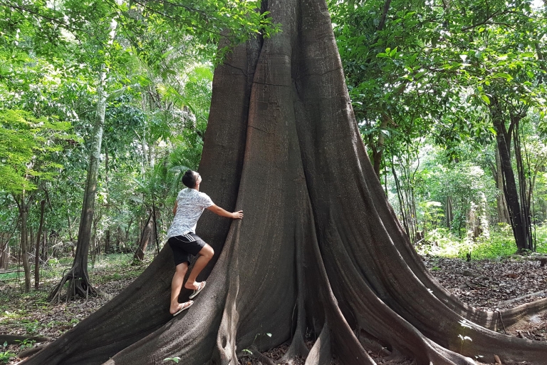 Amazon Jungle: visite de 3 ou 4 jours dans les maisons d'hôtes de la rivière Juma3 jours et 2 nuits - Chambre avec salle de bain privée et ventilateur