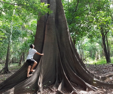 Amazon Jungle: 3- or 4-Day Tour at Ipanema River Guest House