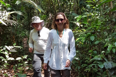 Amazon Jungle: visite de 3 ou 4 jours dans les maisons d'hôtes de la rivière Juma4 jours et 3 nuits - Chambre avec salle de bain privée et A / C