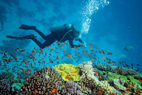 Prison Island: Private Half-Day Tour