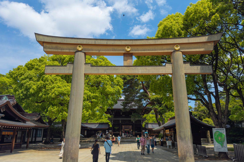 Tokyo: Discover The City Your Way Half-Day Private Sightseeing Ride in Tokyo