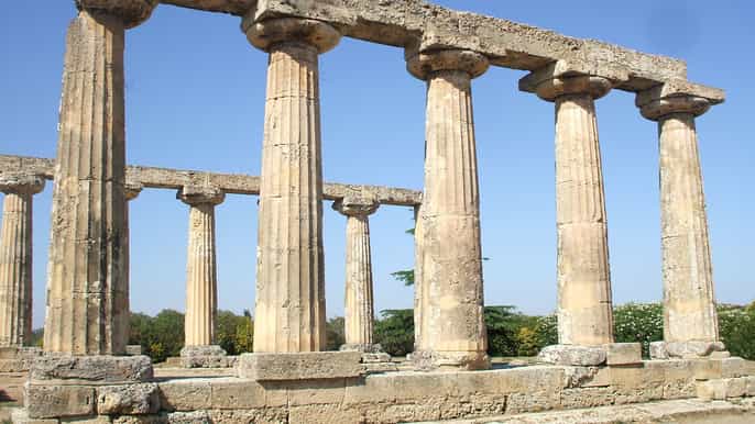 tour guide metapontum impressive ruins near matera
