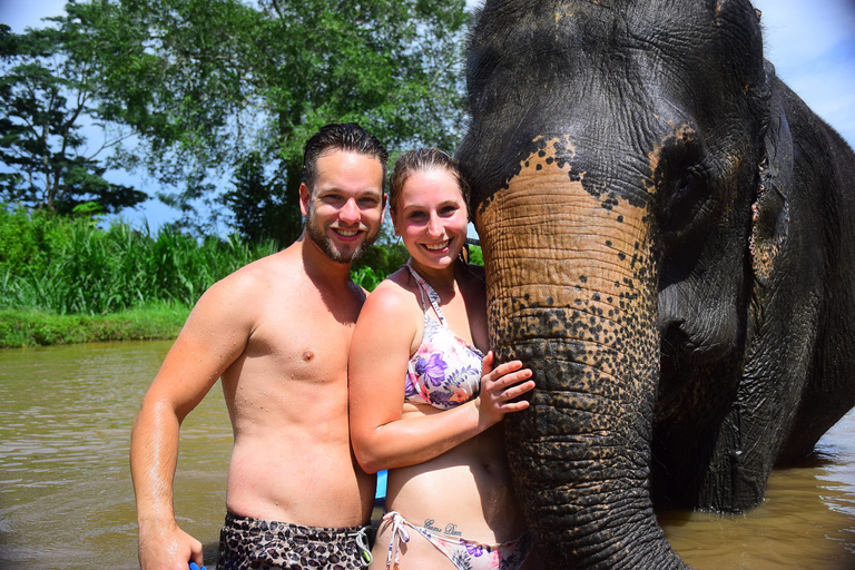 Chiang Mai: Expérience privée de soins aux éléphants pour les couples