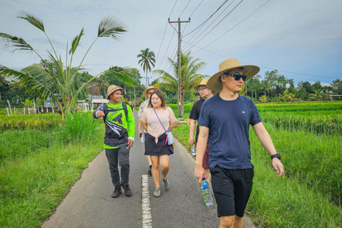 Ubud: Silver Making Class and Fireflies Evening Tour